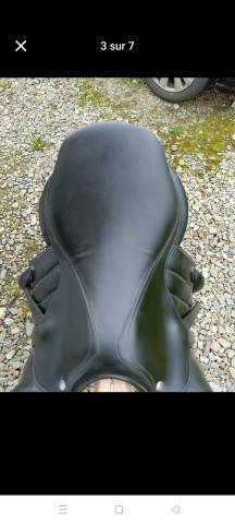 Sella mista Forestier  17" - 2021