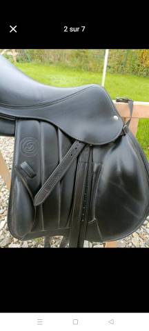 Sella mista Forestier  17" - 2021