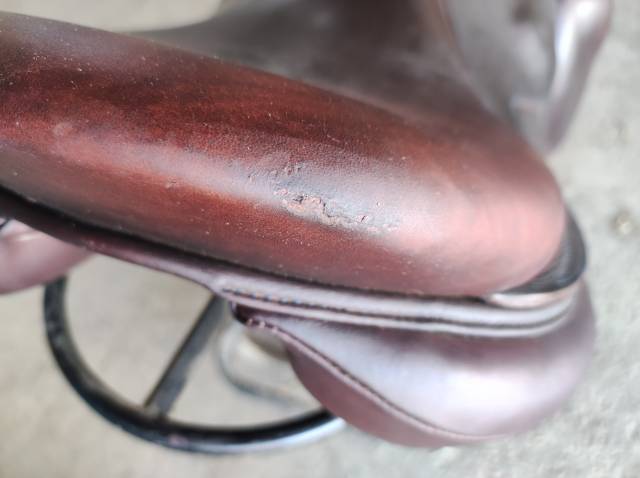 Sella da cross Antarès  17" - 2019