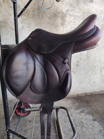 Sella da cross Antarès  17" - 2019