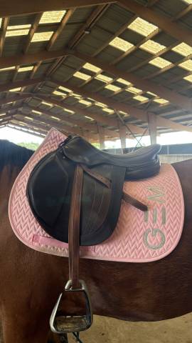 Sella da salto ostacoli Arion Atlas 17" - 2022