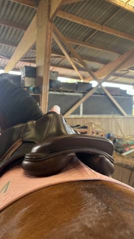 Sella da salto ostacoli Arion Atlas 17" - 2022