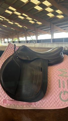 Sella da salto ostacoli Arion Atlas 17" - 2022