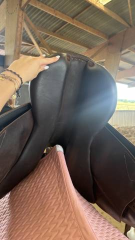 Sella da salto ostacoli Arion Atlas 17" - 2022