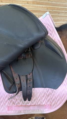 Sella da salto ostacoli Arion Atlas 17" - 2022