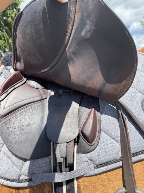 Sella da salto ostacoli CWD  17.5" - 2018