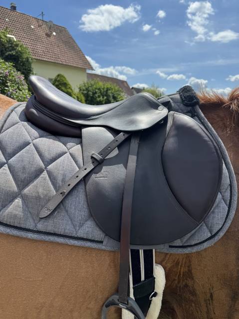 Sella da salto ostacoli CWD  17.5" - 2018