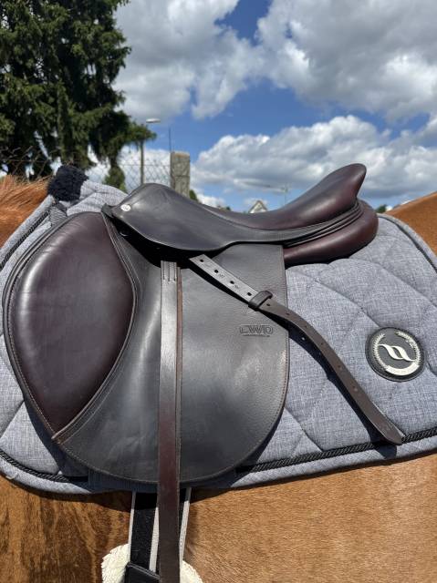 Sella da salto ostacoli CWD  17.5" - 2018