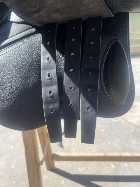 Sella da salto ostacoli CWD  17" - 2021