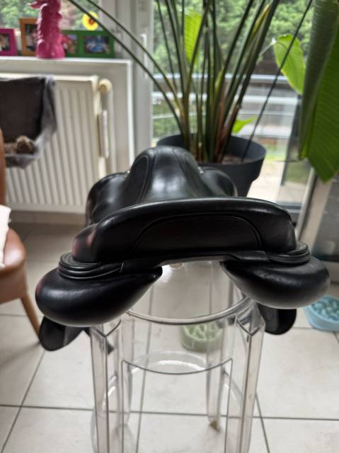 Sella da salto ostacoli CWD  17.5" - 2020