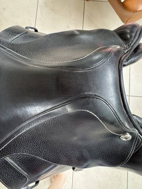 Sella da salto ostacoli CWD  17.5" - 2020