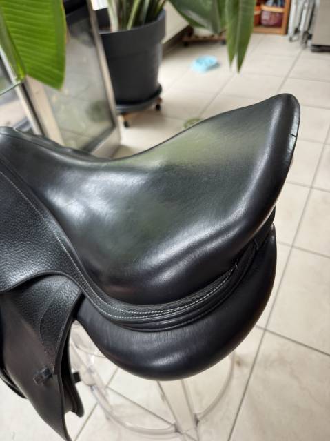 Sella da salto ostacoli CWD  17.5" - 2020