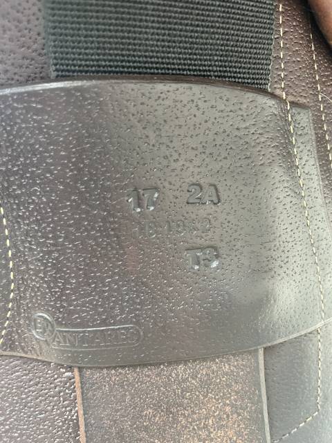 Sella mista Antarès Altair 17" - 2022