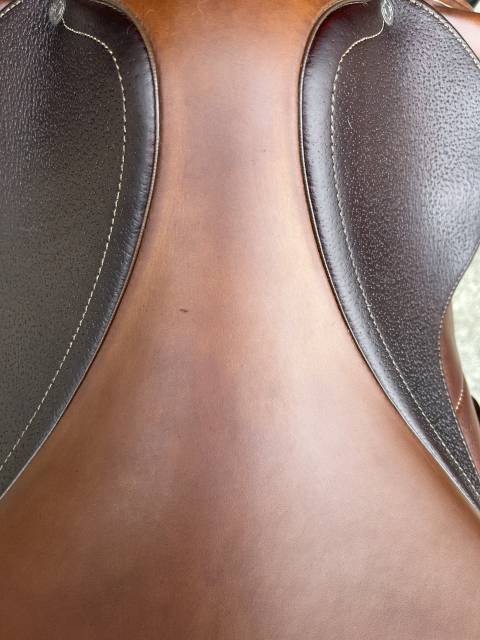 Sella mista Antarès Altair 17" - 2022