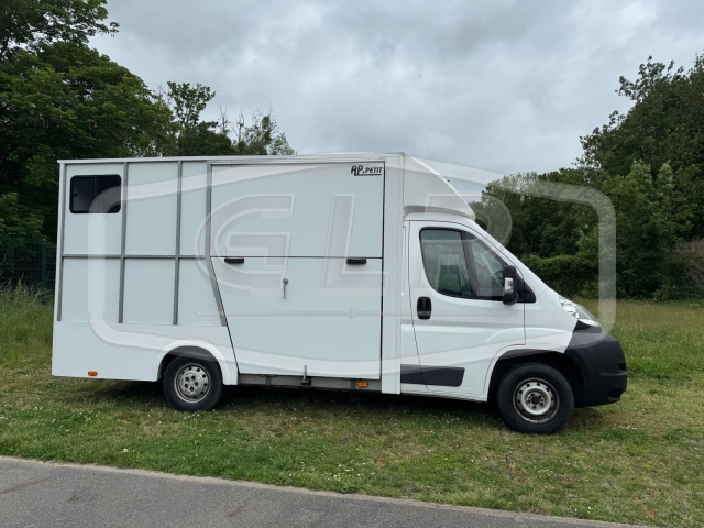 Van per Cavalli AP Petit Fiat Ducato 2014 Occasione