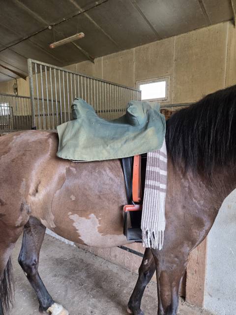 Sella da vaquera   17.5" - 2021