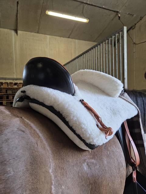 Sella da vaquera   17.5" - 2021