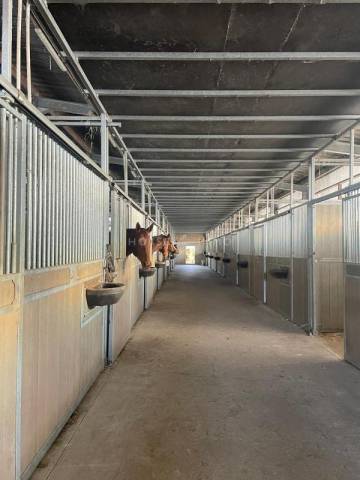 Propriet&agrave; equestre In vendita Morbihan