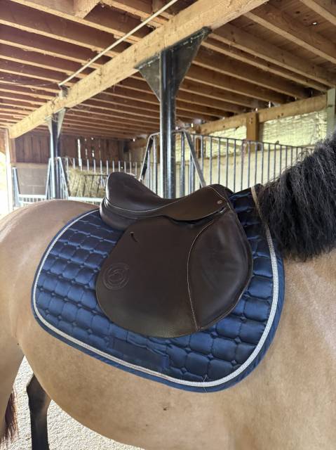 Sella mista Forestier  17" - 2020