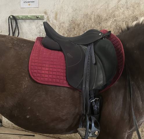 Sella mista Wintec  16.5" - 2023
