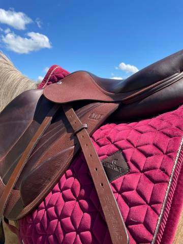 Sella da cross CWD  17" - 2022