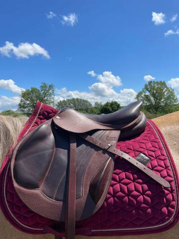Sella da cross CWD  17" - 2022