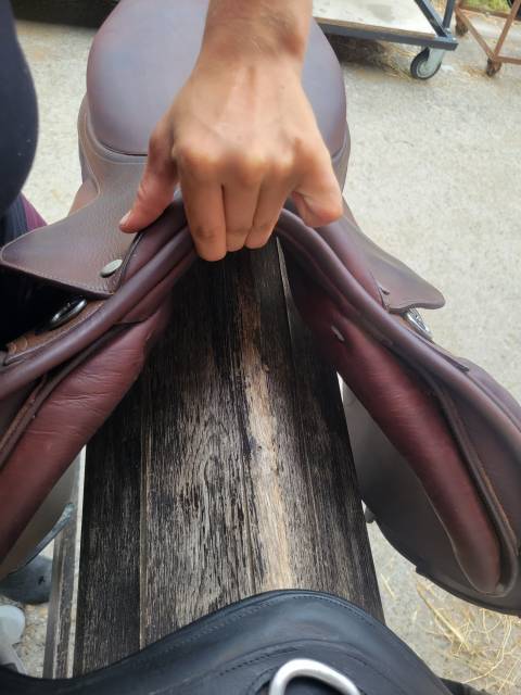 Sella mista  Mixte 17.5" - 2015