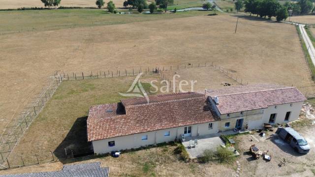 Azienda ovina In vendita Gironde
