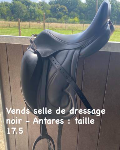 Sella da dressage Antarès  17.5" - 2020