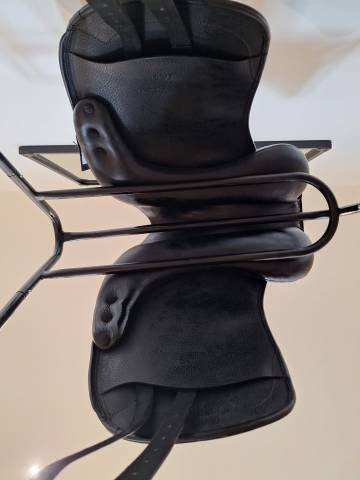 Sella da dressage Time Rider New Era Stationata 16.5" - 2025