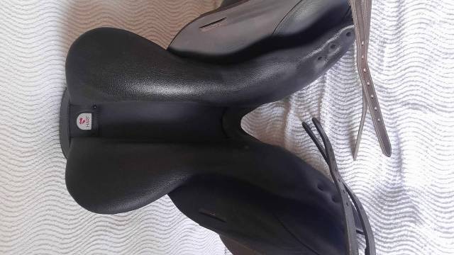 Sella da salto ostacoli Arena Monoquartier 17" - 2025