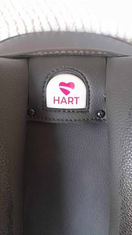 Sella da salto ostacoli Arena Monoquartier 17" - 2025