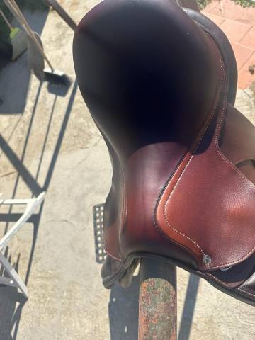 Vendo sella Antarès semi nuova