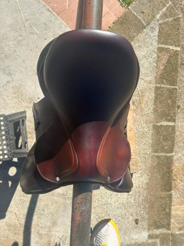 Vendo sella Antarès semi nuova