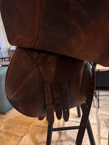 Sella mista Forestier  17.5" - 2013