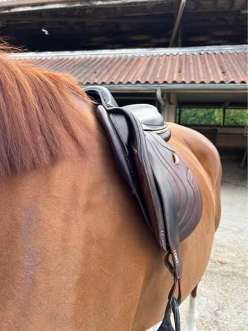 Sella mista CWD  18" - 2024