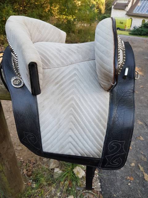 Sella portoghese   14.5" - 2010