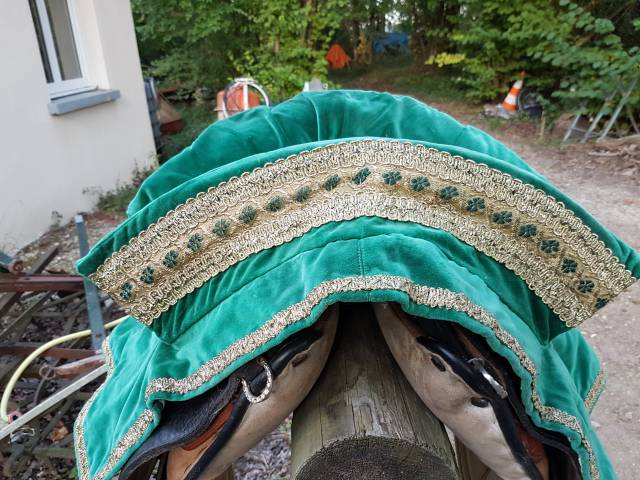 Sella portoghese   14.5" - 2010