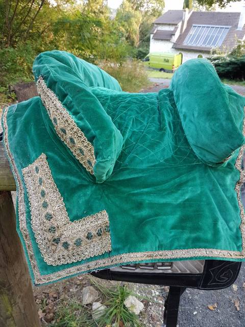 Sella portoghese   14.5" - 2010