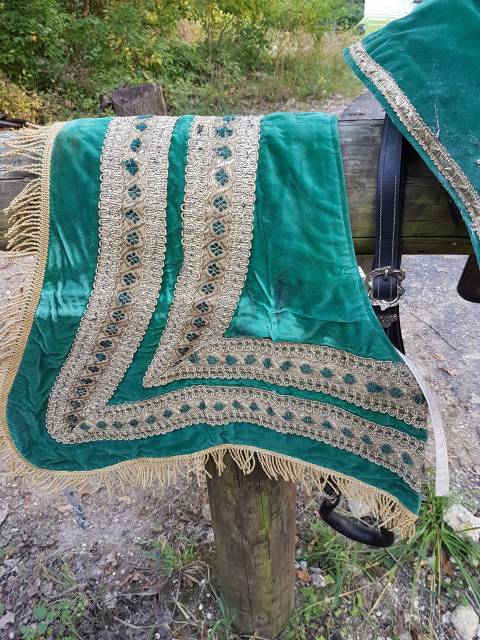 Sella portoghese   14.5" - 2010