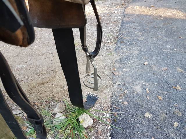 Sella portoghese   14.5" - 2010