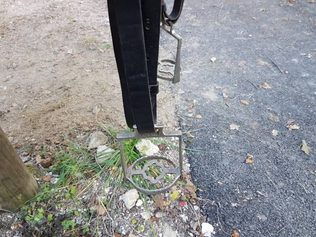 Sella portoghese   14.5" - 2010