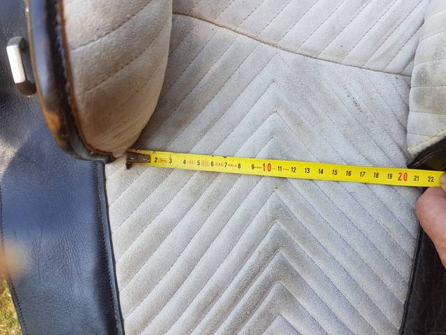 Sella portoghese   14.5" - 2010