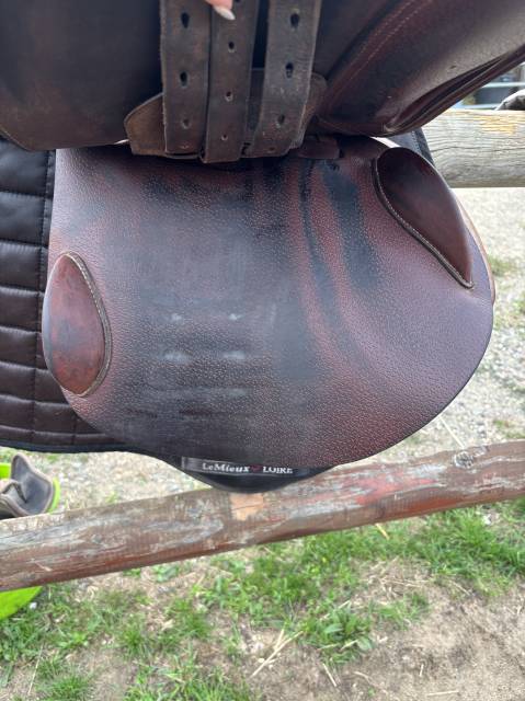 Sella da salto ostacoli Hervé Godignon  17" - 2015