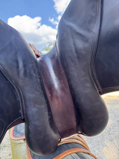 Sella da salto ostacoli CWD  17" - 2017