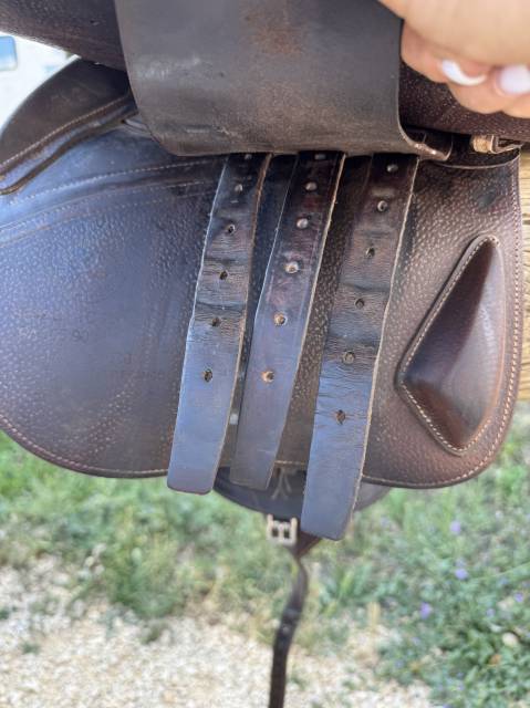 Sella da salto ostacoli CWD  17" - 2017