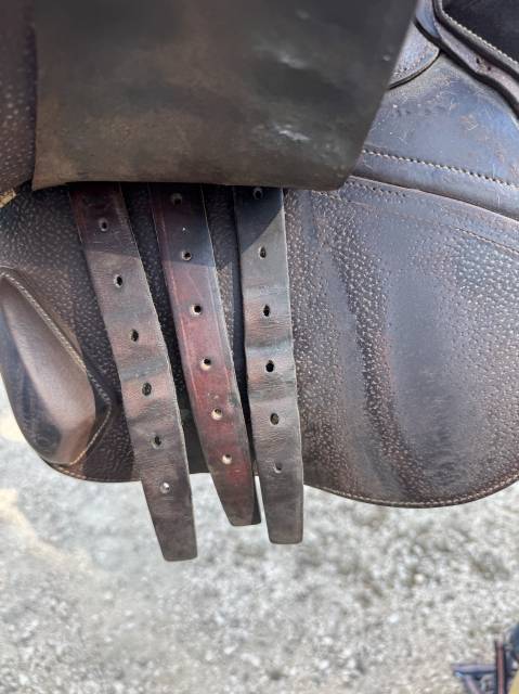 Sella da salto ostacoli CWD  17" - 2017