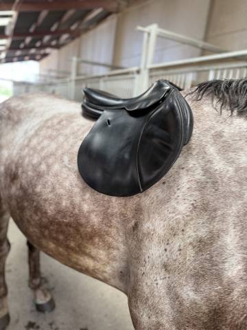 Sella mista Butet  17.5" - 2016