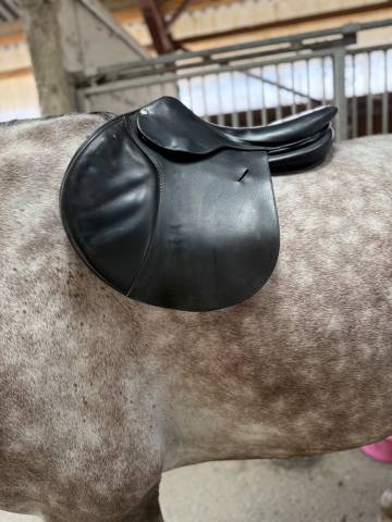 Sella mista Butet  17.5" - 2016