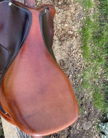 Sella da salto ostacoli Butet  17" - 2017